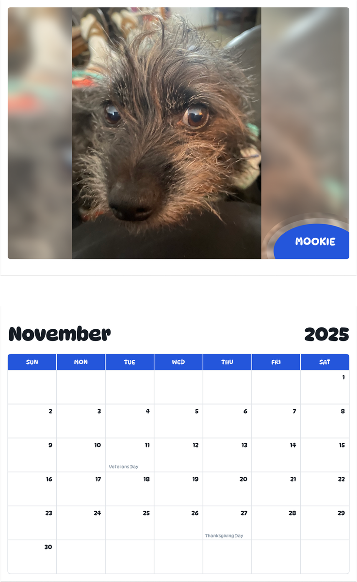 July 2025 - June 2026 Mookie - Pawidols Pet Calendar