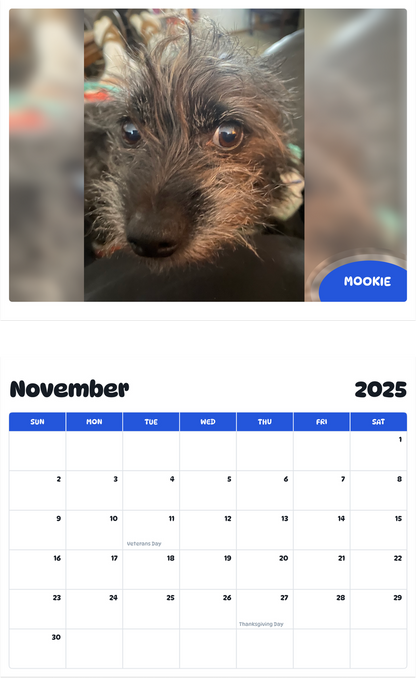 July 2025 - June 2026 Mookie - Pawidols Pet Calendar