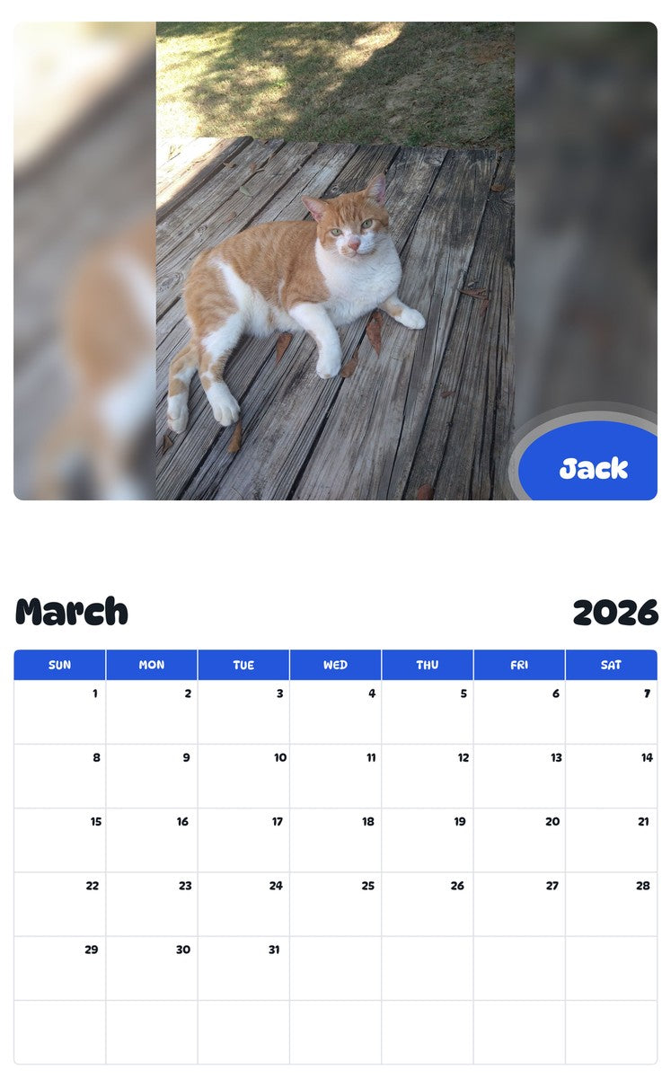 November 2025 - October 2026 Jack - Pawidols Pet Calendar