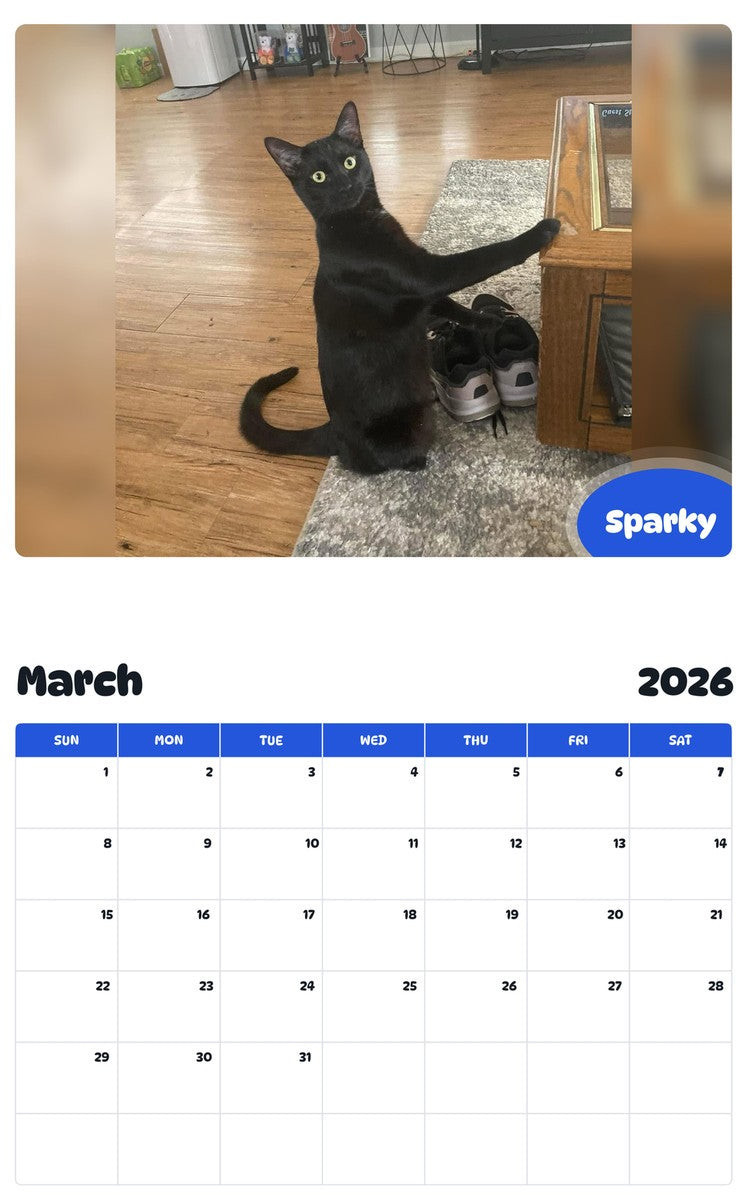 November 2025 - October 2026 Sparky - Pawidols Pet Calendar