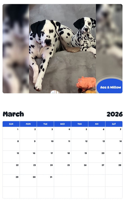 November 2025 - October 2026 Ace & Willow - Pawidols Pet Calendar