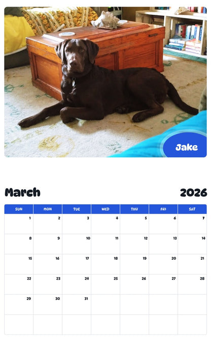 November 2025 - October 2026 Jake - Pawidols Pet Calendar