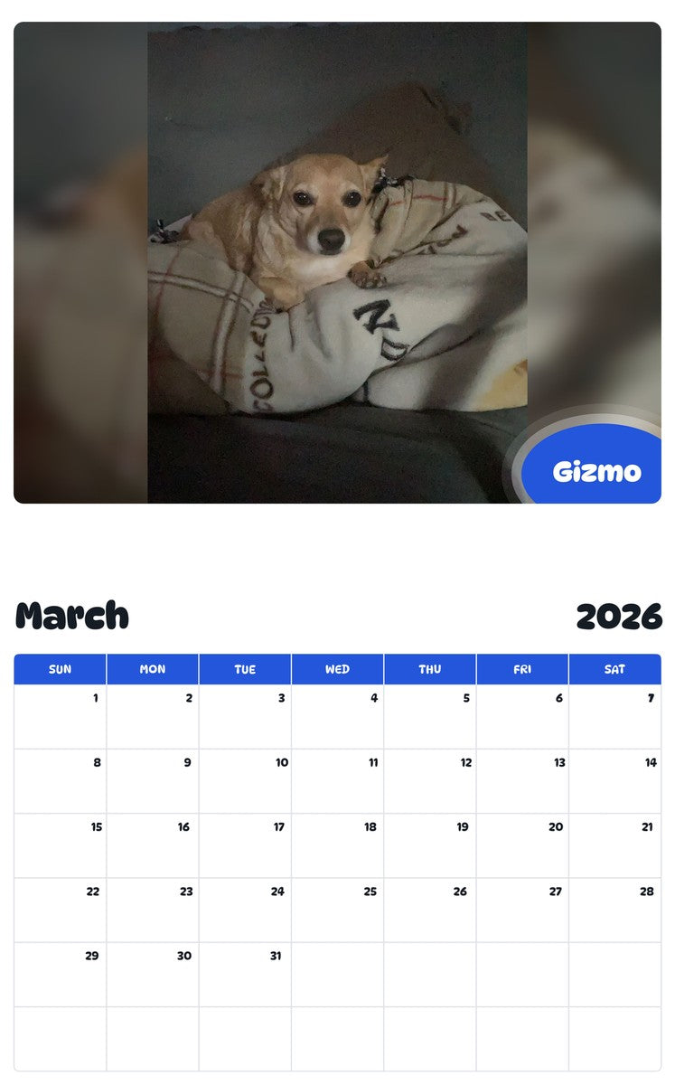 November 2025 - October 2026 Gizmo - Pawidols Pet Calendar