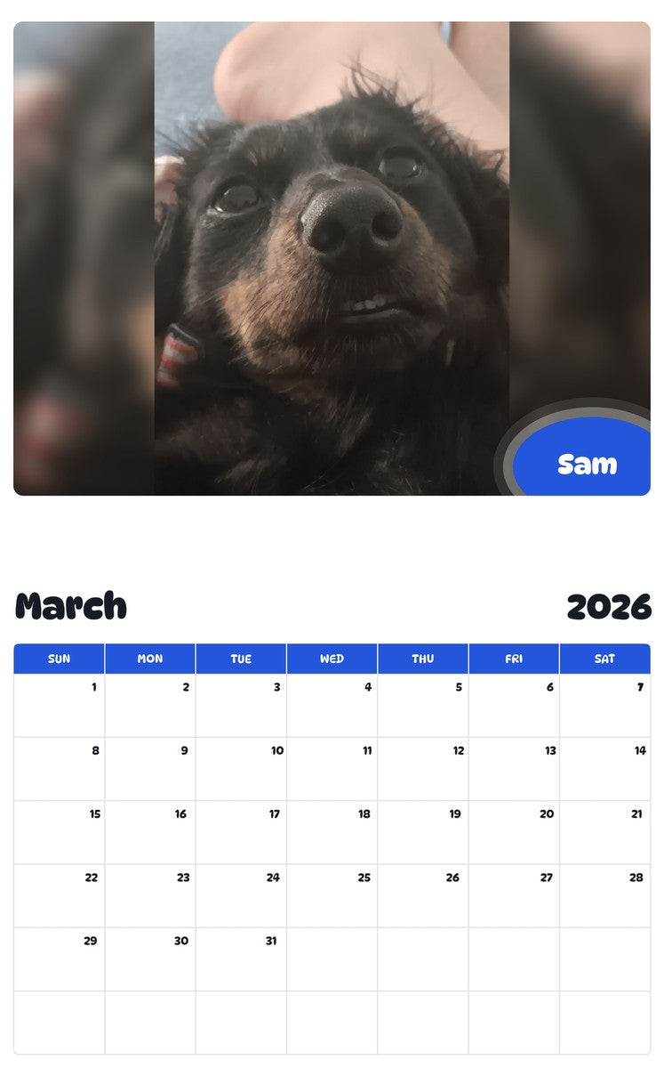 November 2025 - October 2026 Sam - Pawidols Pet Calendar