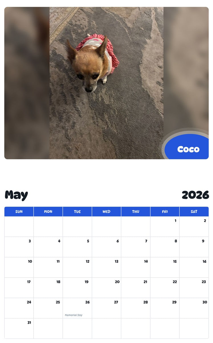 2026 - 2027 Coco - Pawidols Pet Calendar