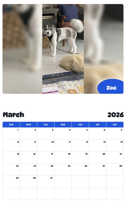 November 2025 - October 2026 Zoe - Pawidols Pet Calendar