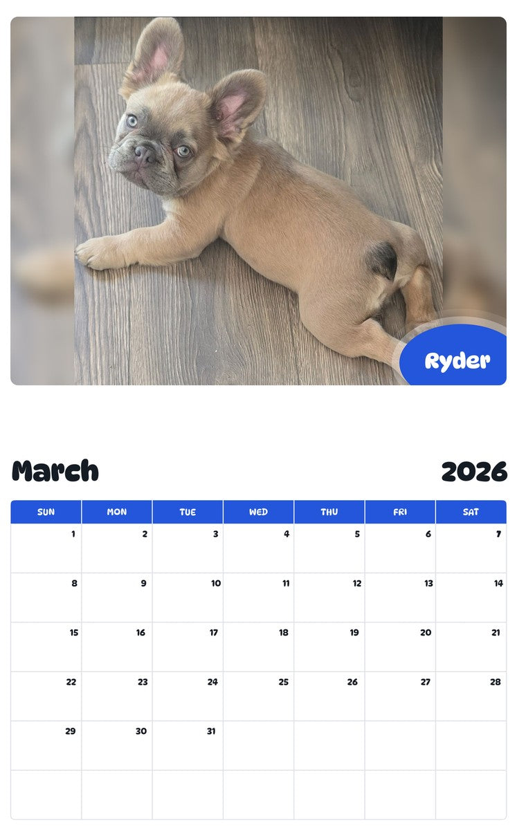 November 2025 - October 2026 Ryder - Pawidols Pet Calendar