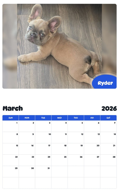 November 2025 - October 2026 Ryder - Pawidols Pet Calendar