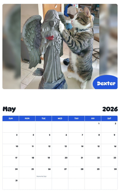 2026 - 2027 Dexter - Pawidols Pet Calendar