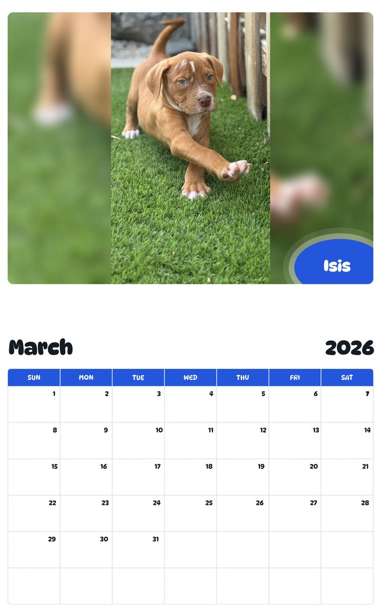 November 2025 - October 2026 Isis - Pawidols Pet Calendar