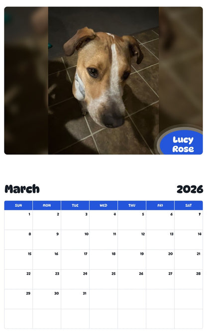 November 2025 - October 2026 Lucy Rose - Pawidols Pet Calendar