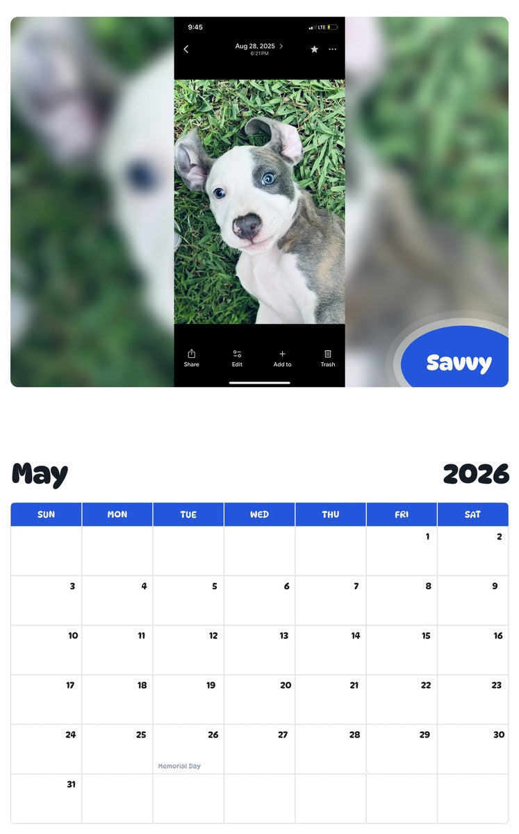 2026 - 2027 Savvy - Pawidols Pet Calendar