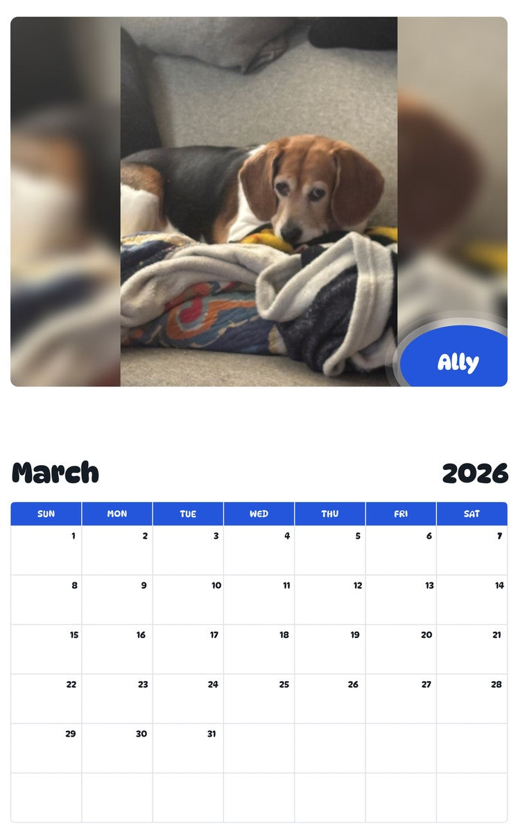 November 2025 - October 2026 Ally - Pawidols Pet Calendar