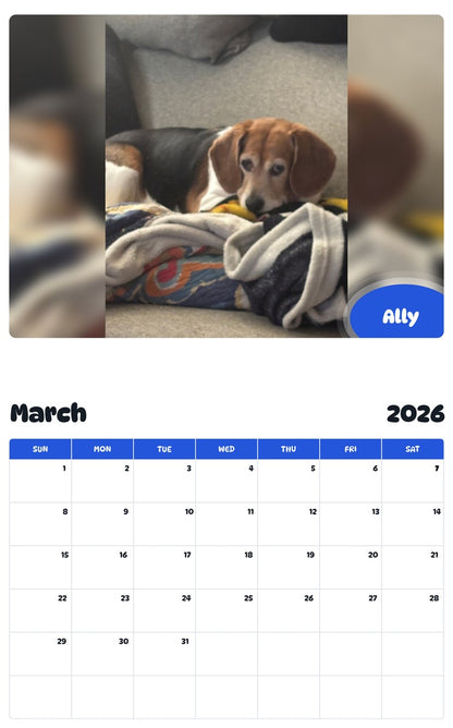 November 2025 - October 2026 Ally - Pawidols Pet Calendar