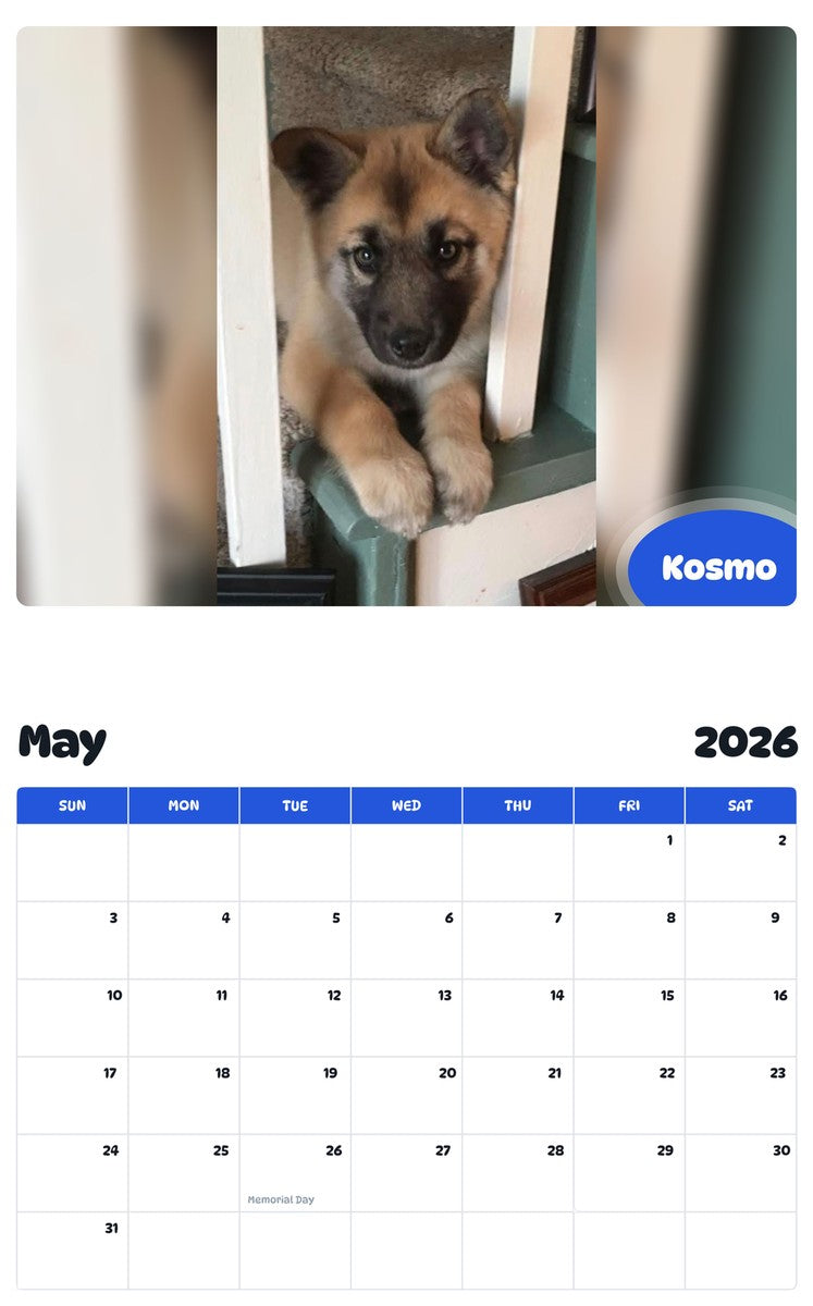 2026 - 2027 Kosmo - Pawidols Pet Calendar
