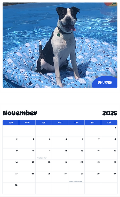 July 2025 - June 2026 Bruiser - Pawidols Pet Calendar
