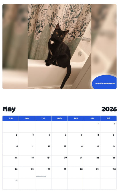 2026 - 2027 Beautiful Black Diamond - Pawidols Pet Calendar