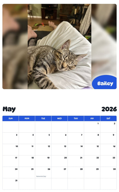 2026 - 2027 Bailey - Pawidols Pet Calendar