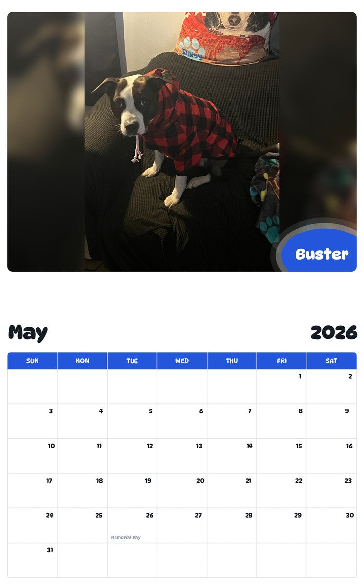 2026 - 2027 Buster - Pawidols Pet Calendar