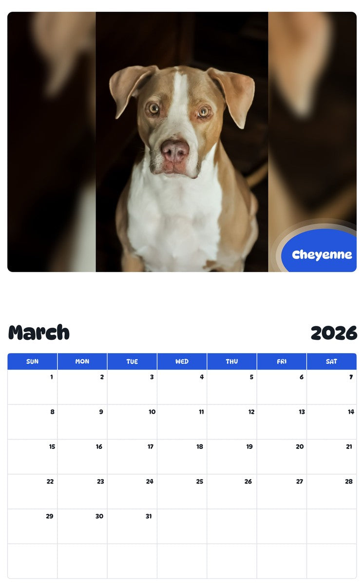 November 2025 - October 2026 Cheyenne - Pawidols Pet Calendar