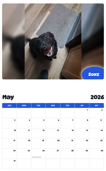 2026 - 2027 Soxz - Pawidols Pet Calendar