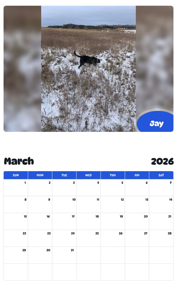 November 2025 - October 2026 Jay - Pawidols Pet Calendar
