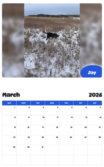 November 2025 - October 2026 Jay - Pawidols Pet Calendar