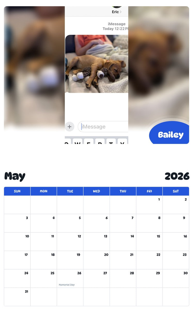 2026 - 2027 Bailey - Pawidols Pet Calendar