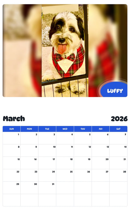 November 2025 - October 2026 LUFFY - Pawidols Pet Calendar