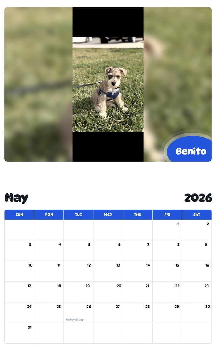2026 - 2027 Benito - Pawidols Pet Calendar