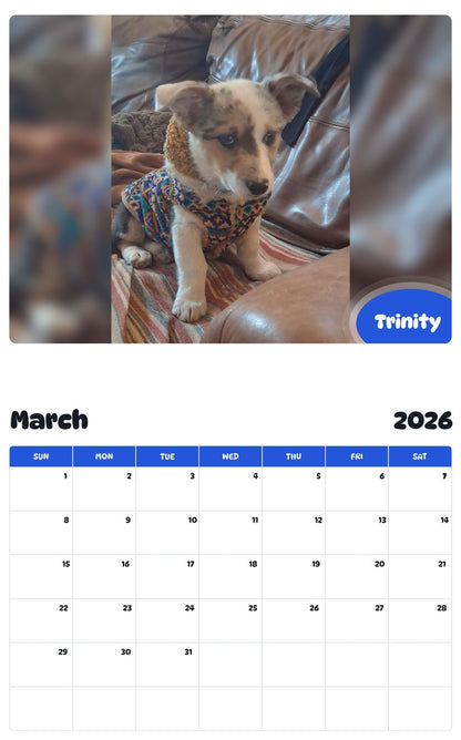 November 2025 - October 2026 Trinity - Pawidols Pet Calendar