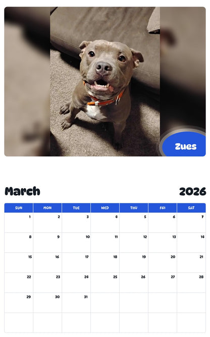 November 2025 - October 2026 Zues - Pawidols Pet Calendar