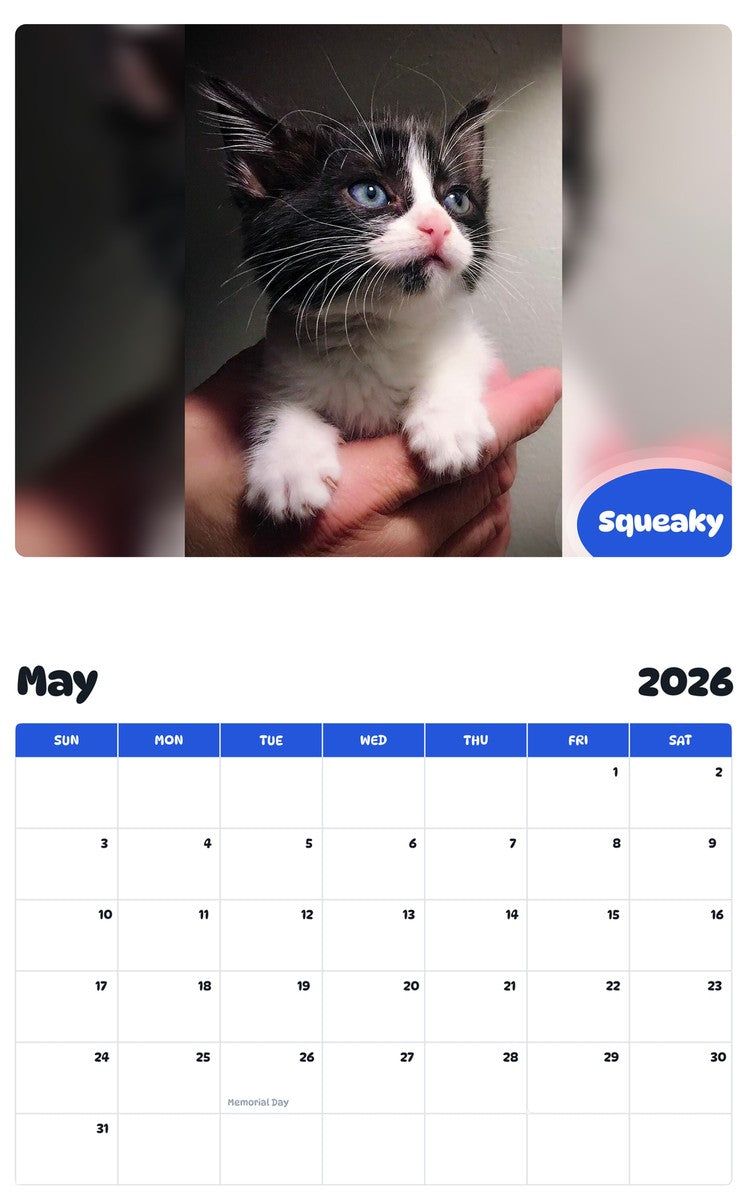 2026 - 2027 Squeaky - Pawidols Pet Calendar