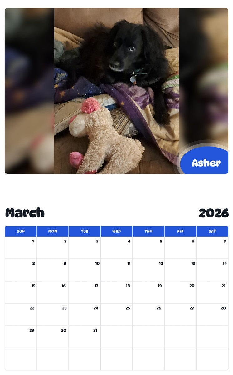 November 2025 - October 2026 Asher - Pawidols Pet Calendar