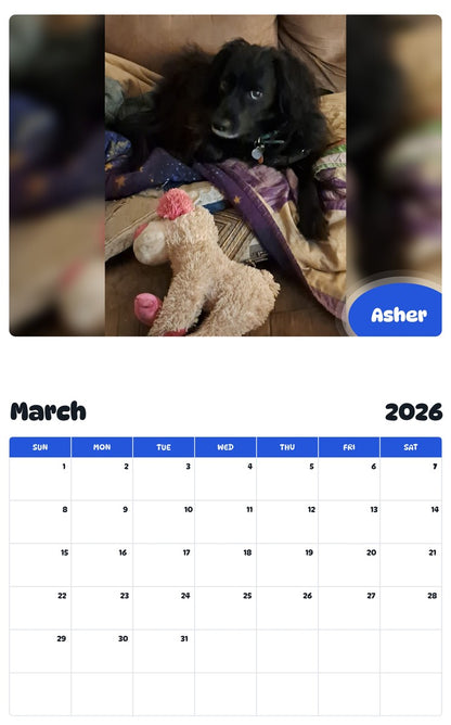 November 2025 - October 2026 Asher - Pawidols Pet Calendar