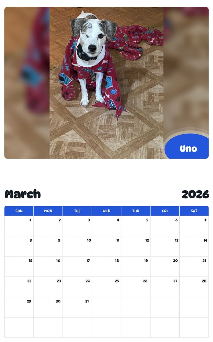 November 2025 - October 2026 Uno - Pawidols Pet Calendar