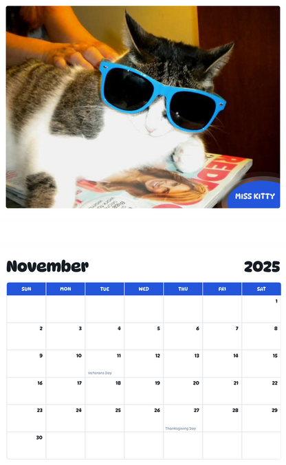 July 2025 - June 2026 Miss Kitty - Pawidols Pet Calendar