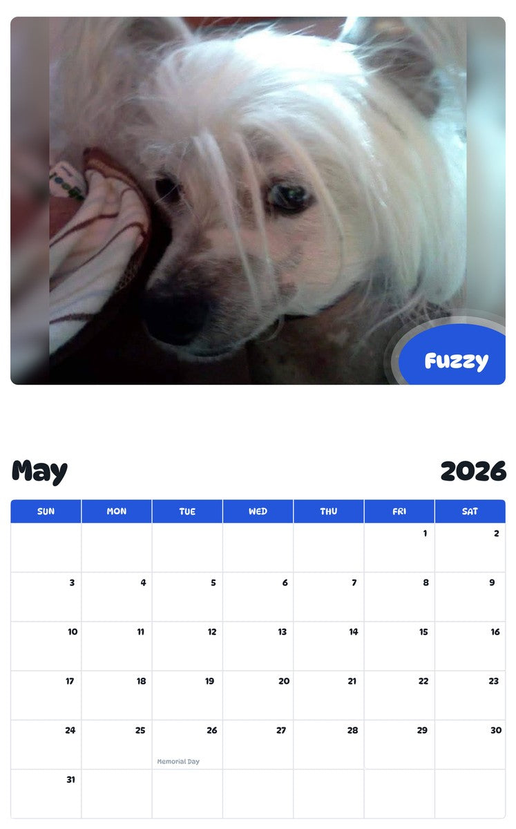 2026 - 2027 Fuzzy - Pawidols Pet Calendar