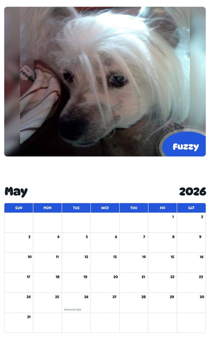 2026 - 2027 Fuzzy - Pawidols Pet Calendar