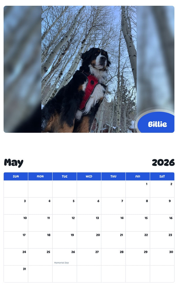 2026 - 2027 Billie - Pawidols Pet Calendar