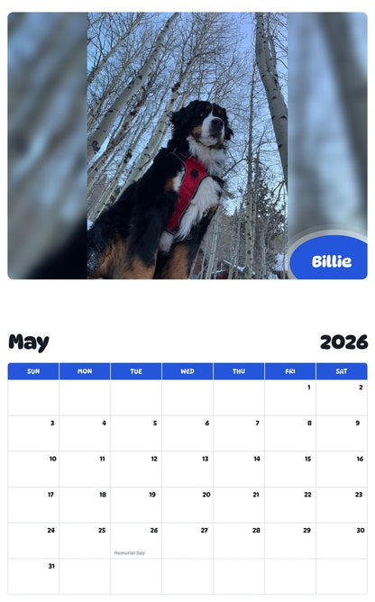 2026 - 2027 Billie - Pawidols Pet Calendar