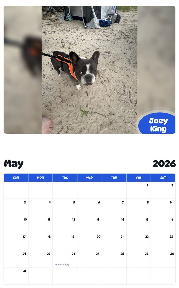 2026 - 2027 Joey King - Pawidols Pet Calendar