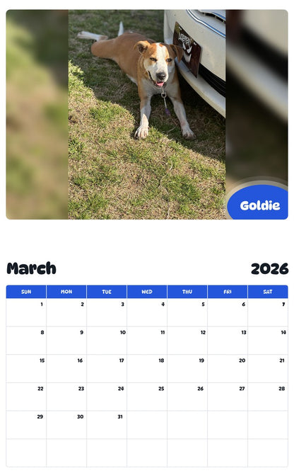 November 2025 - October 2026 Goldie - Pawidols Pet Calendar