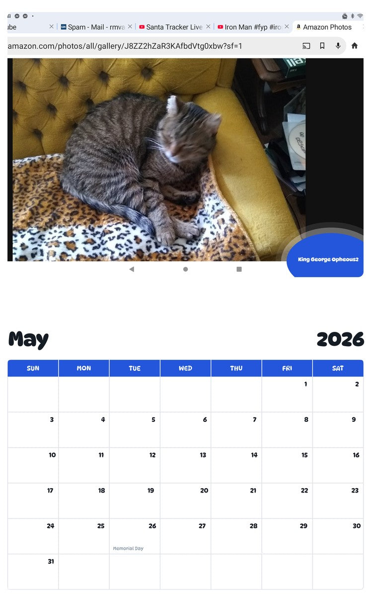 2026 - 2027 King George Opheous2 - Pawidols Pet Calendar