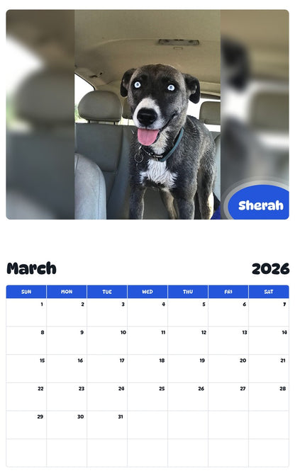 November 2025 - October 2026 Sherah - Pawidols Pet Calendar