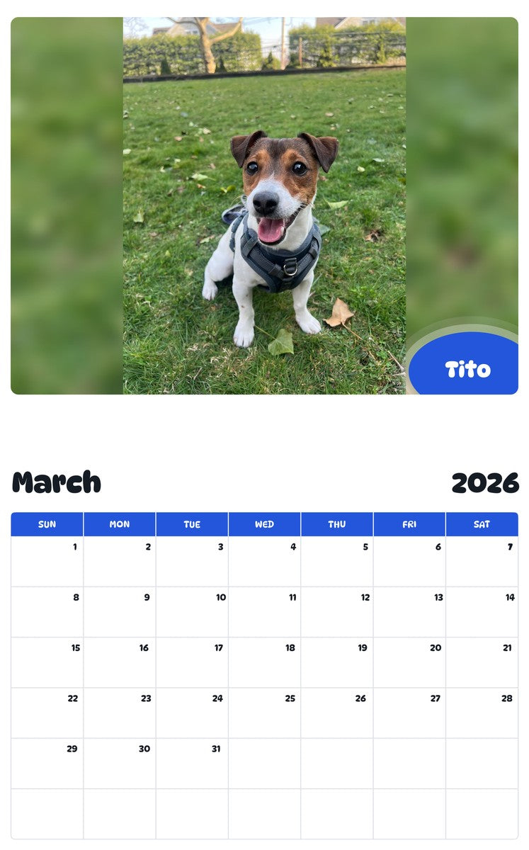 November 2025 - October 2026 Tito - Pawidols Pet Calendar