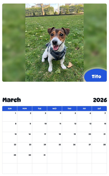 November 2025 - October 2026 Tito - Pawidols Pet Calendar