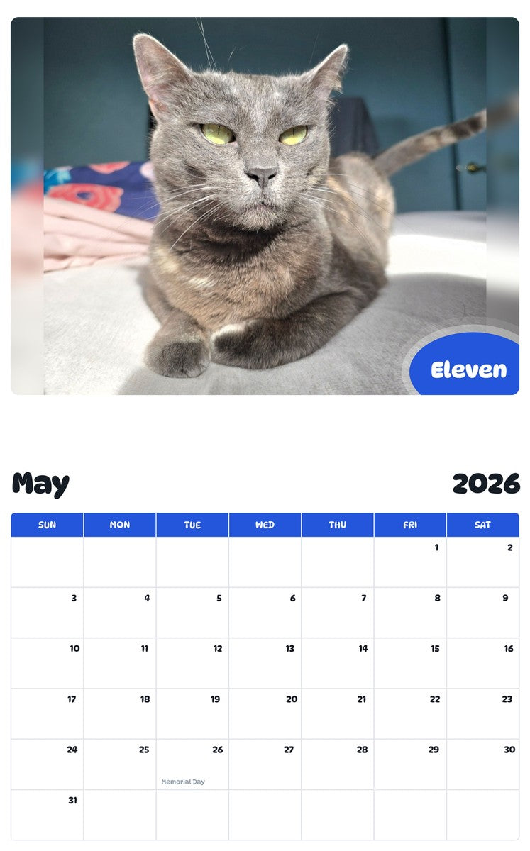 2026 - 2027 Eleven - Pawidols Pet Calendar