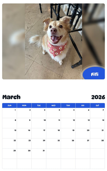 November 2025 - October 2026 Fifi - Pawidols Pet Calendar