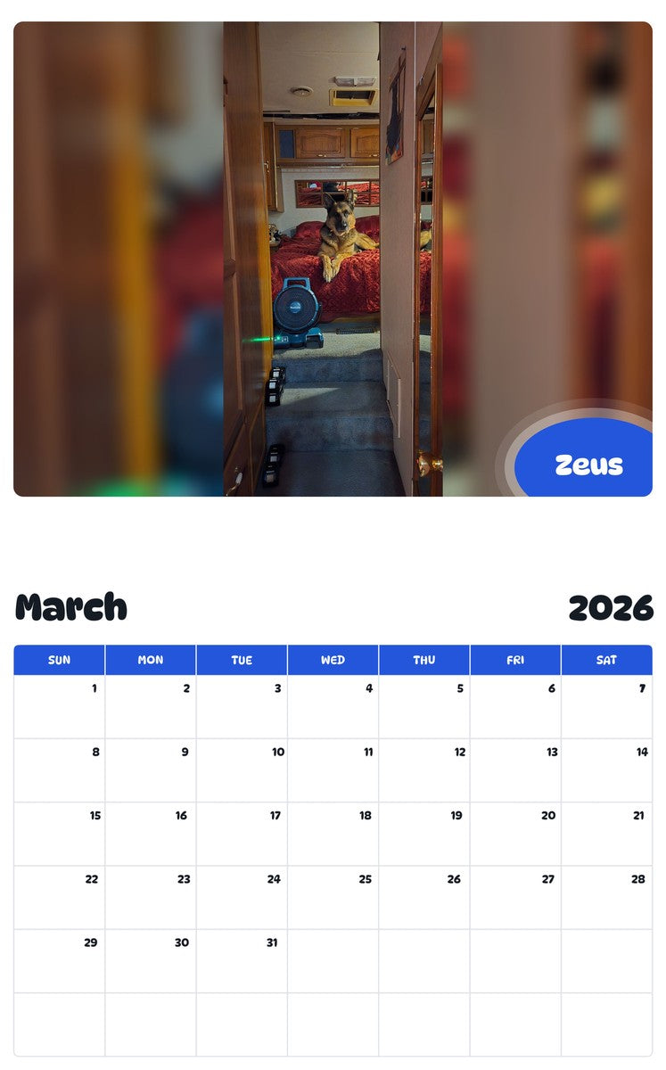 November 2025 - October 2026 Zeus - Pawidols Pet Calendar